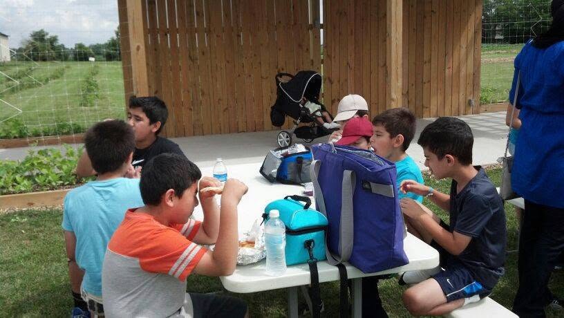 Community picnic