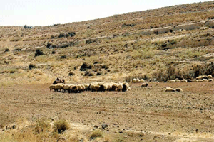 الانحباس المطري يهدد الموسم الزراعي وتوقعات بأزمة مياه وعام جاف