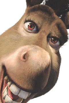 في قرية مصرية.. حمار يستغيث بالشرطة لنجدته من يد سارقه