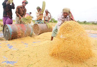 بعد زيادة أسعارها عالميا..توقعات بارتفاع أسعار الأرز والسكر في السوق المحلية