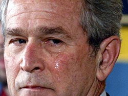 وظيفة في متجر بانتظار بوش