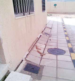 تشققات في مبنى مدرسة الحصن المختلطة تهددها بالانهيار رغم حداثة تسلمها