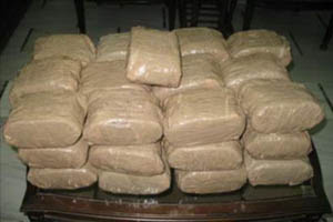 "مكافحة المخدرات" تحبط عملية تهريب 5 كيلوغرامات من الكوكائين