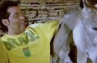 بعد أغنية " بحبك ياحمار".. اليابان تطلب من مصر شراء مليون حمار مقابل نصف مليار دولار