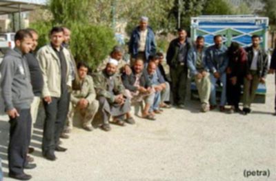 موظفون في المحطات الزراعية بالطفيلة يعتصمون للمطالبة بتحسين أوضاعهم