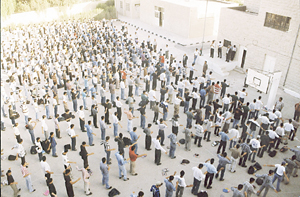 أسماء 468 معلماً ومعلمة للتعيين في التربية