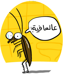 طالبة في السلط تعثر على صرصور في رغيف «الساندويتش»