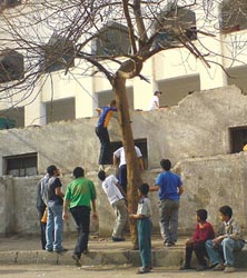 التربية : 5 آلاف طالب تسربوا من المدارس العام الماضي