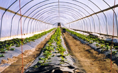 مخالفات في مشاريع زراعية مهمة جدا