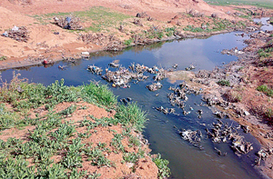 وصول مياه عادمة الى سد الوالة تشكل مكرهة صحية وبيئية