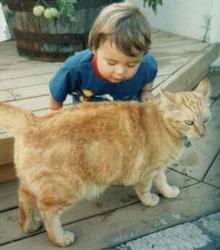 تسمم طفلتين في وادي موسى بعد تناولهما «غذاء للقطط»