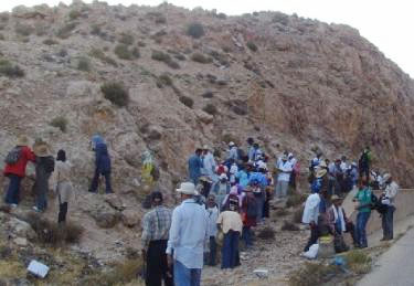 بحث تخفيض عدد الإناث الدارسات للجيولوجيا