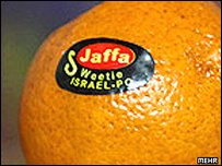 وما خفى كان أعظم.. النظام الإيراني يعقد صفقات تجارية مع تل أبيب