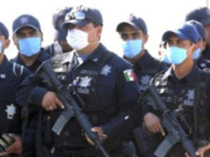 الإمارات والبحرين ومصر.. دول عربية تستور لحوم خنازير أمريكية