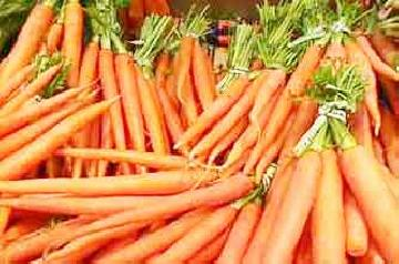 أحذر الجزر، فقد يكون (إسرائيلياً)!