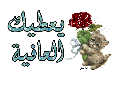 نائب يفقد النصاب القانوني لمناقشة " الضمان الاجتماعي " لارتباطه بـ "جاهة عرس" حول