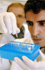 أول حالة وفاة برام الله مرتبطة بأنفلونزا الخنازير لشاب قادم من السعودية