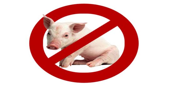 عالم مصري يقر رسميا بوجود أثر لأمعاء الخنزير في البيبسي كولا