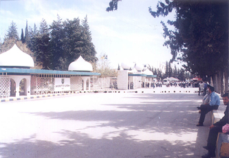 المعاني: لا نية لرفع أعداد المقبولين بالجامعات الرسمية