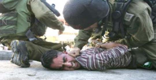 صحيفة سويدية تعيد اتهام جيش الاحتلال بسرقة أعضاء شهداء فلسطينيين