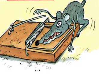 محتال يزور توقيع رجل أعمال بارز ويحاول الاستيلاء على أكثر من 125 الف دينار