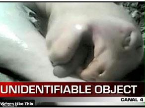 ربما جاء من الفضاء!!.. العثور على "كائن" غريب في بنما