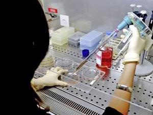 الشركات المنتجة تطلب توقيعا بعدم المسؤولية عن آثاره الجانبية..مصل أنفلونزا الخنازير خفايا وأسرار