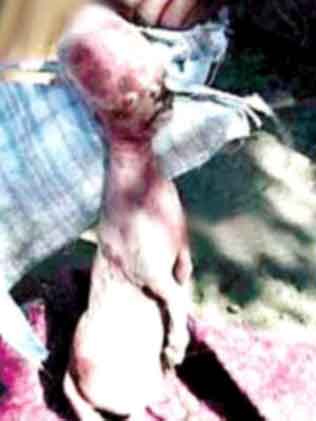 اعتبروه مخلوقا شيطانيا..ولادة جدي برأس بشري في زيمبابوي