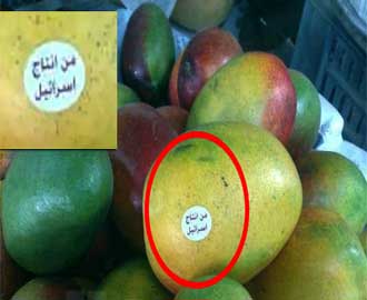 انتقادات للحكومة بتسهيل إجراءات الاستيراد من إسرائيل وتعقيدها لدول أخرى