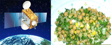 عالم إسرائيلي : نرسل قمرا صناعيا فيخترع العرب نوع جديد من سلطة الحمص