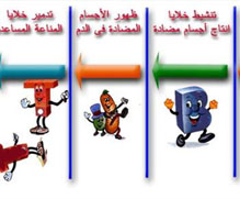 5 حالات لأردنيين و9 لأجانب.. "الصحة" ترصد 14 إصابة بالإيدز الشهر الماضي