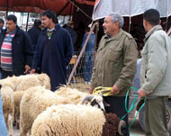 التلفزيون الليبي يقطع برامجه فجرا ليعلن الخميس أول أيام العيد بليبيا