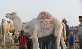 مواطنون في الرمثا يضحون عن روح صدام حسين