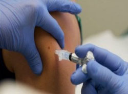 مفاجأة.. صحيفة ألمانية: اتفاق على مطعوم "الخنازير" قبل عامين من ظهوره