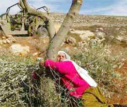 وسط رفض شعبي.. إطلاق مسابقة ملكة جمال فلسطين برام الله والجائزة سيارة ورحلة لتركيا