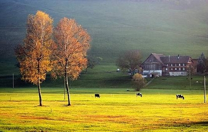 قضية احتيال لا تخلو من الغرابة.. قطعة أرض تباع 3 مرات بوكالة عامة مزورة