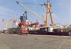 رفض 7 حاويات حمص حب روسي لسميته العالية