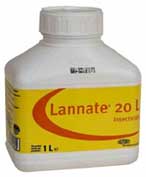 وفاة فتاة عشرينية اثر تناولها مادة اللانيت السامة في الظليل