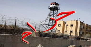 القرضاوي : الجدار الفولاذي حرام شرعاً