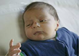 القبض على سيدة دهست رضيعا ووالده ولاذت بالفرار