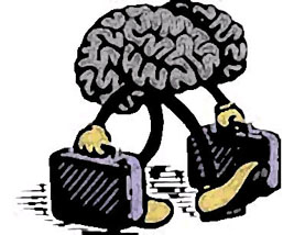 هجرة العقول واحدة من أكبر التحديات أمام الاقتصاد الوطني