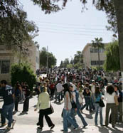 رئيس هيئه الاعتماد: التعليم العالي يعاني نقصا في هيئة التدريس