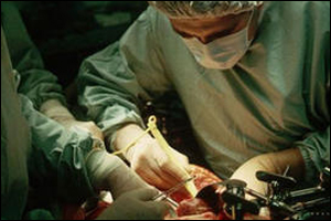 يتزعمها أردني وزوجته... كشف شبكة في اليمن تتاجر بالأعضاء البشرية