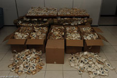 إحباط محاولة تهريب كمية كبيرة من المخدرات عبر الحدود الشمالية الشرقية