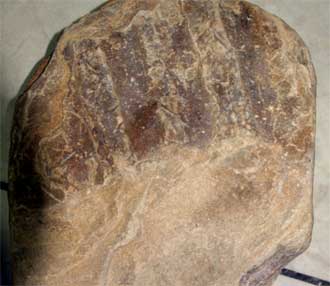 العثور على حجر في منطقة البحر الميت يحمل لفظ الجلالة