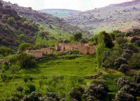 إخلاء مدرسة كفرنجة للبنات بسبب هزة أرضية في قبرص