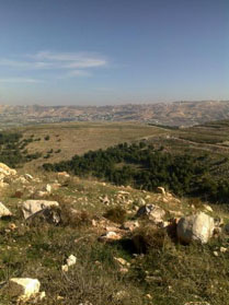 تهديدات باللجوء للقضاء.."المهندسين" تشتري أرضا للبناء تميل بدرجة 30 إلى 60!!