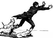 انتشار داء الكََلب في المفرق والزرقاء