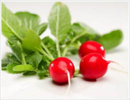 ثمرة فجل زنتها 20 كيلو غرام في الكرك