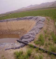 البرك الزراعية مصائد موت.. وفاة طفلين شقيقين غرقا جنوب دير علا